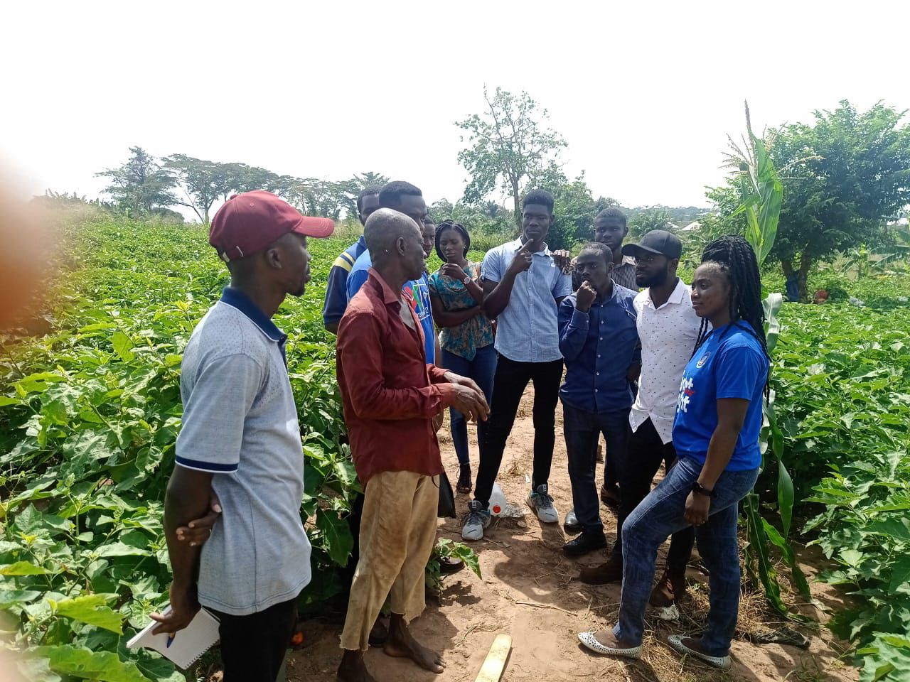 Disease surveillance at a members field